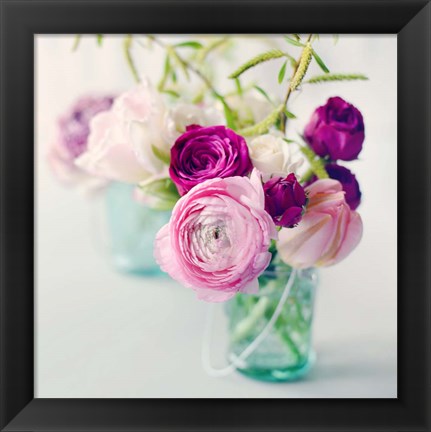 Framed Pink Ranunculus Print