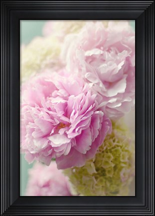 Framed Soft Pink Blooms Print