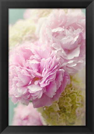 Framed Soft Pink Blooms Print