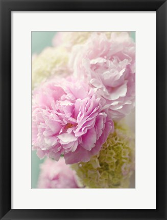 Framed Soft Pink Blooms Print