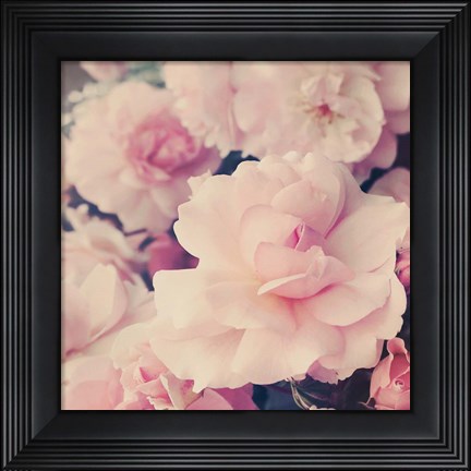 Framed Pink Blossoms I Print