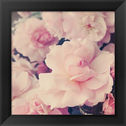 Framed Pink Blossoms I Print