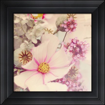 Framed Pink Blossoms II Print