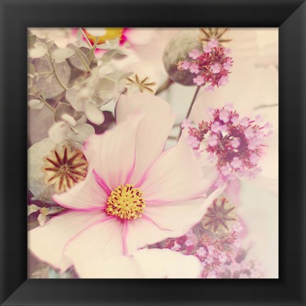 Framed Pink Blossoms II Print