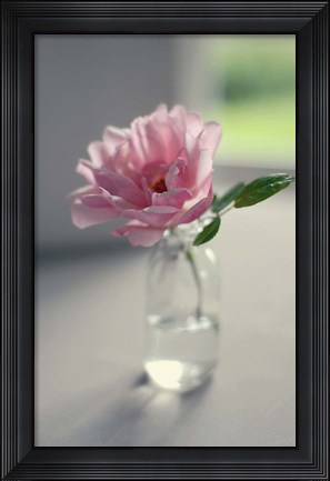 Framed Evening Blooms Print