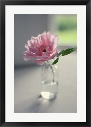 Framed Evening Blooms Print