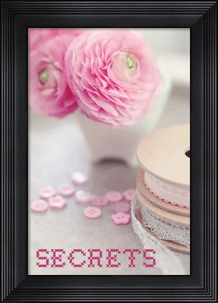 Framed Secrets Print