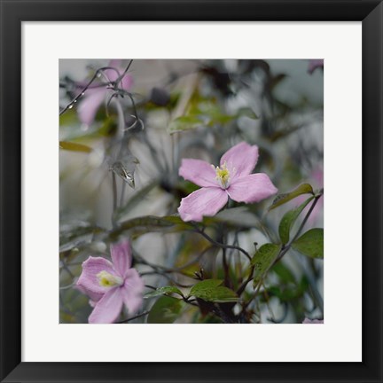 Framed Springtime II Print