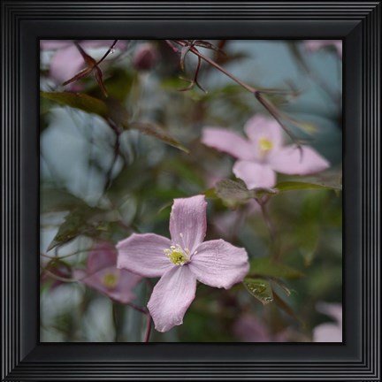 Framed Springtime I Print