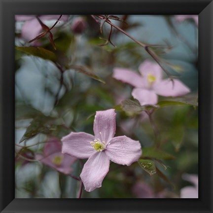 Framed Springtime I Print