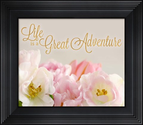Framed Life is a Great Adventure Print