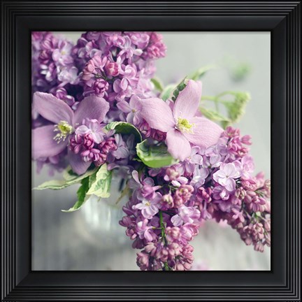 Framed Fresh Morning Bloom Print