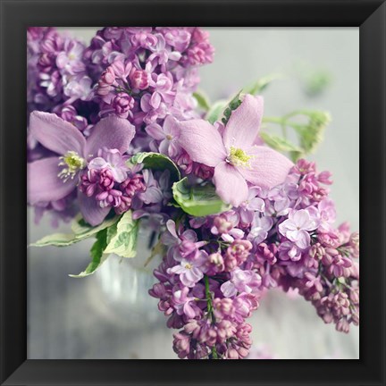 Framed Fresh Morning Bloom Print