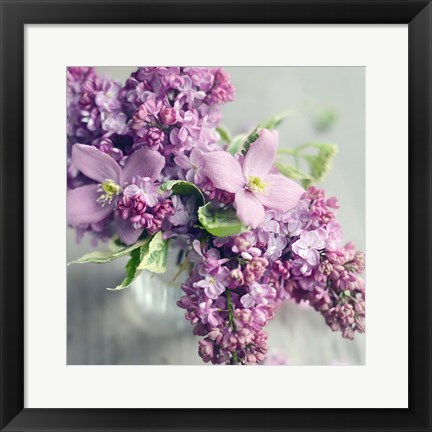 Framed Fresh Morning Bloom Print