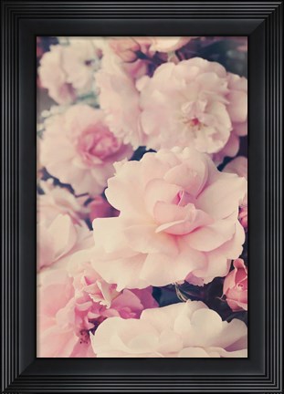 Framed Pink Blossoms I Print