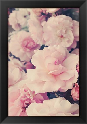 Framed Pink Blossoms I Print