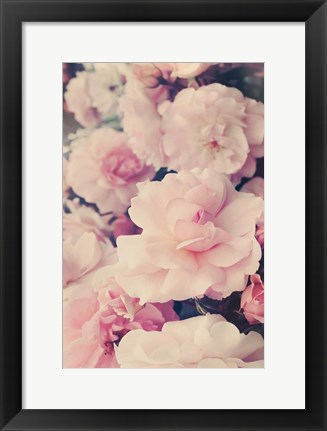 Framed Pink Blossoms I Print