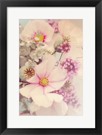 Framed Pink Blossoms II Print