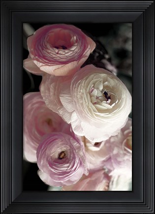 Framed Out of Darkness Print