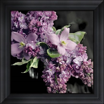 Framed Fresh Evening Bloom Print