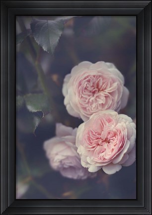 Framed Hiding Blooms Print