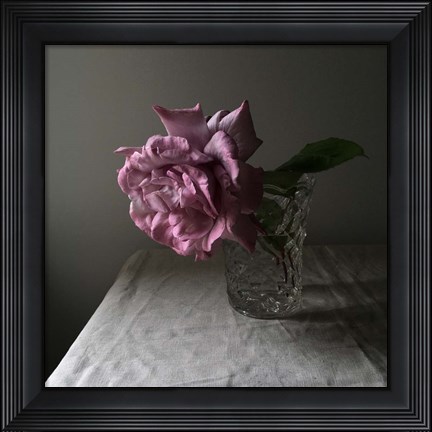 Framed Florals In The Dark Print