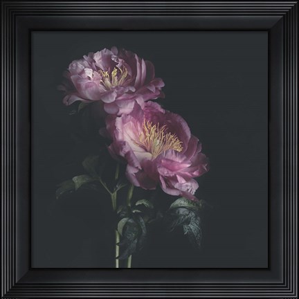 Framed Dark Florals Print