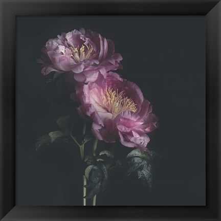 Framed Dark Florals Print