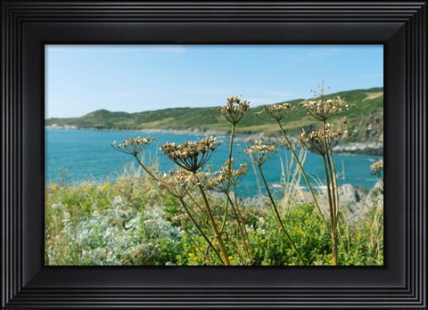 Framed Far Away In The Breeze Print