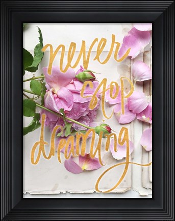 Framed Never Stop Dreaming Print