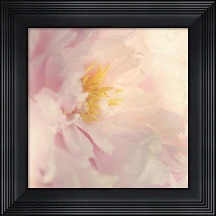 Framed Bloom Print