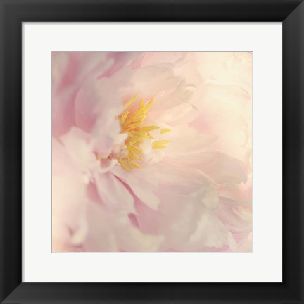 Framed Bloom Print