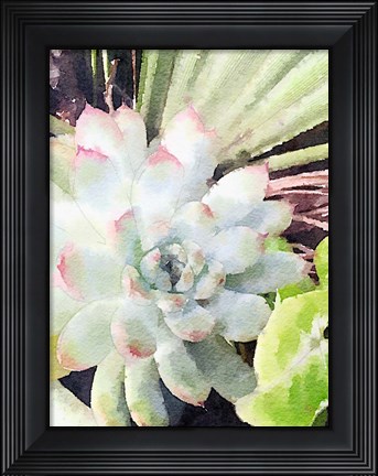 Framed Watercolor Green Succulent Print