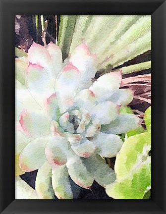 Framed Watercolor Green Succulent Print