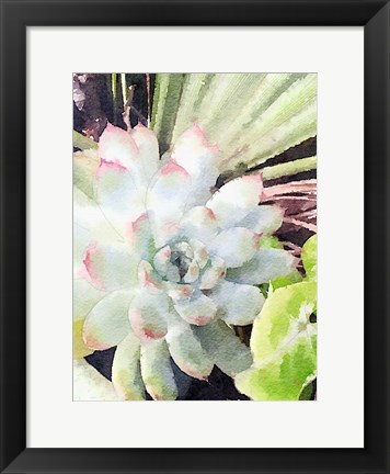 Framed Watercolor Green Succulent Print