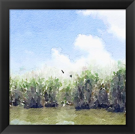 Framed Watercolor Black Hammock Lake Print