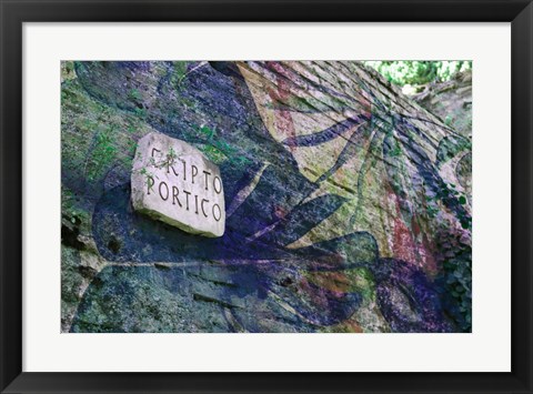 Framed Cripto Print