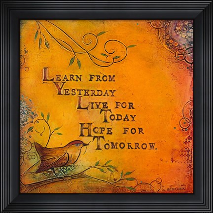 Framed Learn Live Hope I Print