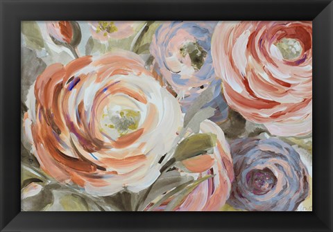 Framed Orange &amp; Violet Ranunculus Print