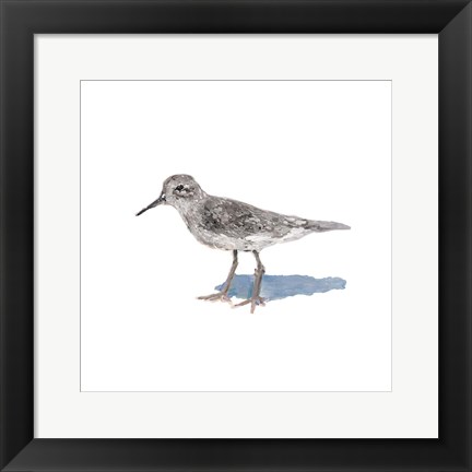 Framed Sandpiper on White II Print