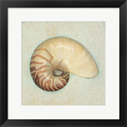 Framed Coastal Treasures III Print