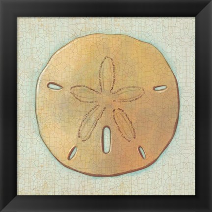 Framed Coastal Treasures IV Print