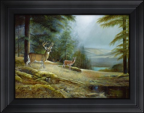 Framed Mountaintop Retreat Print