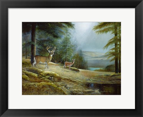 Framed Mountaintop Retreat Print