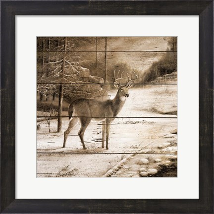 Framed Shadows of the Forest Print