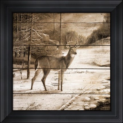Framed Shadows of the Forest Print