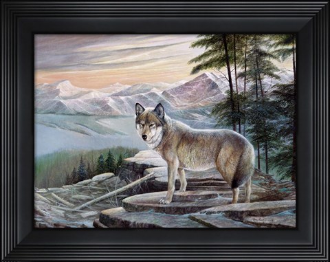 Framed Sentinel Print