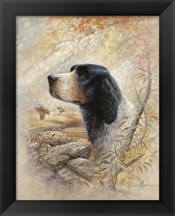 Framed English Pointer Print