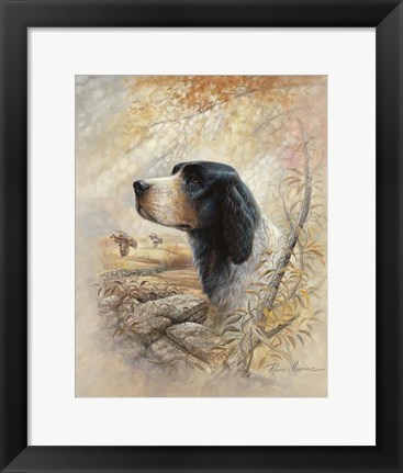 Framed English Pointer Print