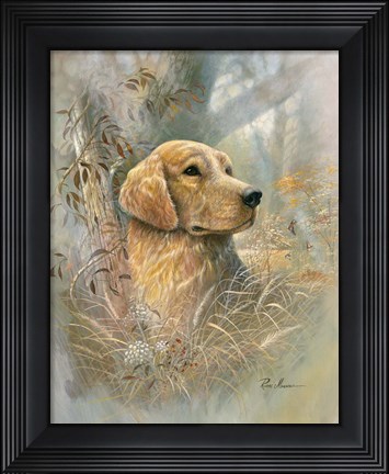 Framed Golden Beauty Print